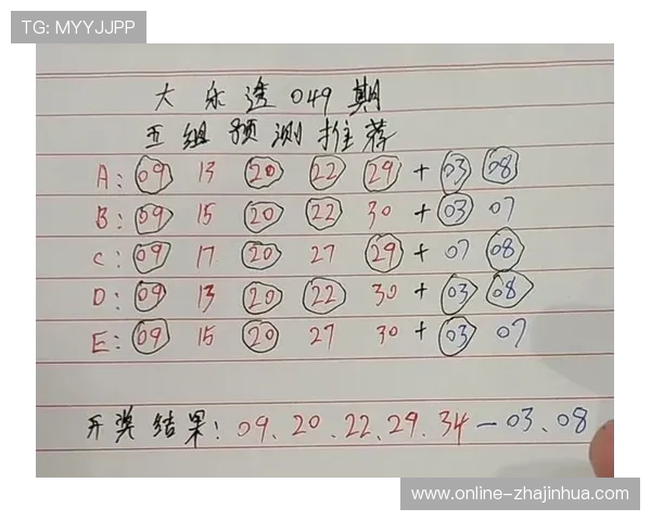 大乐透13116期开奖解析与预测新趋势分析,关注近期走势与热门号码统计